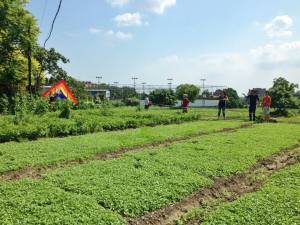 10489694_10102399259286960_1711966580997511572_n