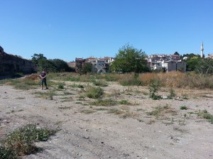 Rosenthal, July 2014