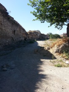 Rosenthal, July 2014